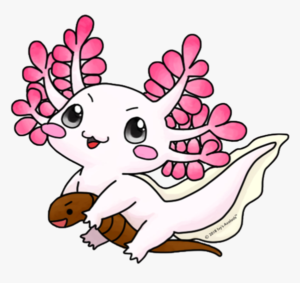 Аксолотль Эстетика милые