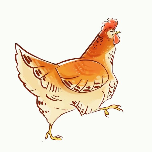 Курица рисунок для детей