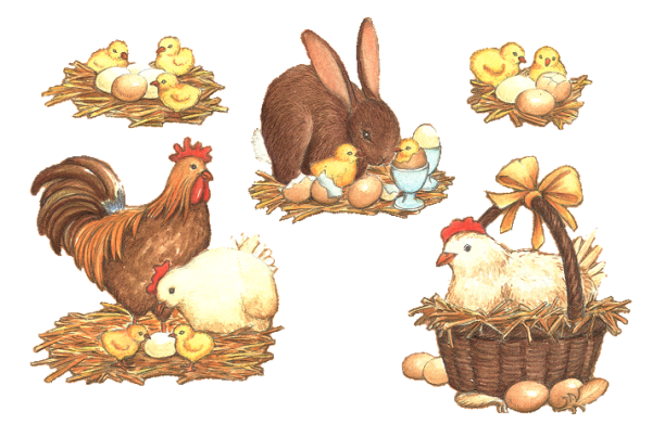 Курица с цыплятами для детей