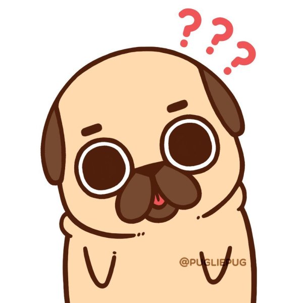 Кавай Мопс Puglie