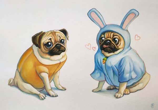 Мопс рисунок