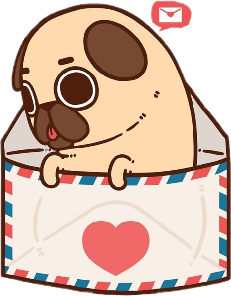 Кавай Мопс Puglie
