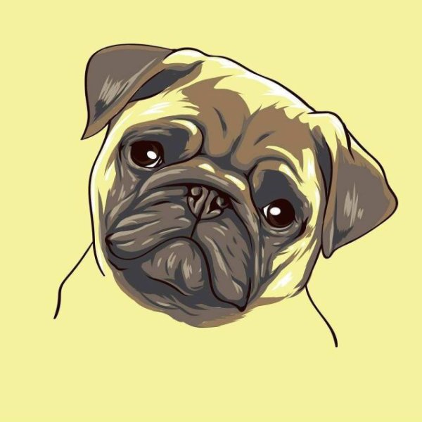 Мопс для срисовки