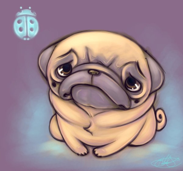 Мопс рисунок