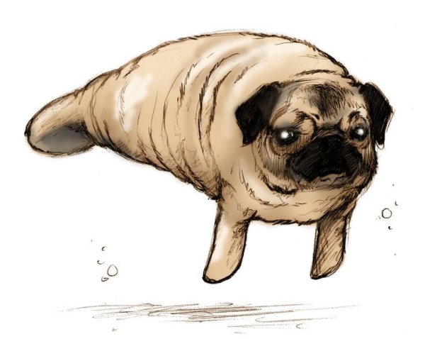 Мопсик мультяшный