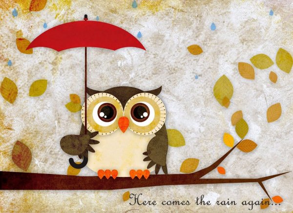 Мультяшные осенние Совы