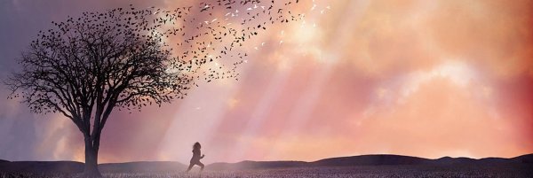 Милые кости иллюстрации