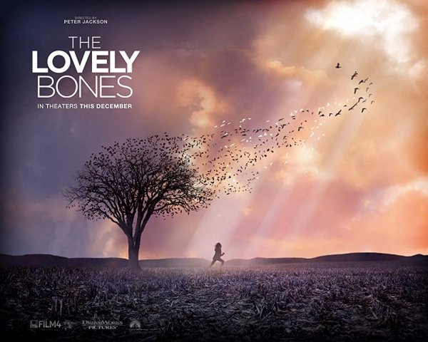 Sebold Alice "Lovely Bones"