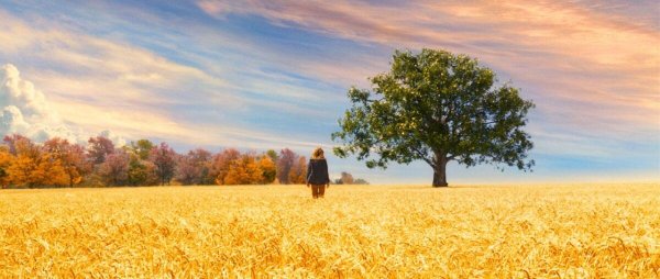 Милые кости картинки