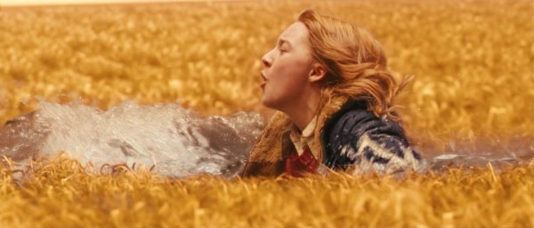 Милые кости животных