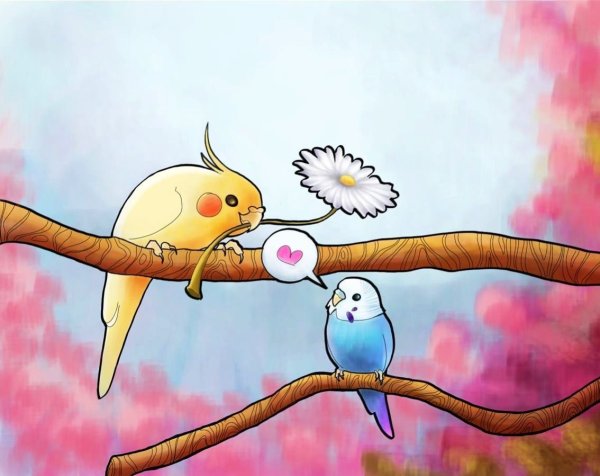 Птица рисунок милый