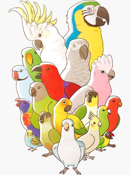 Веселые попугаи арт
