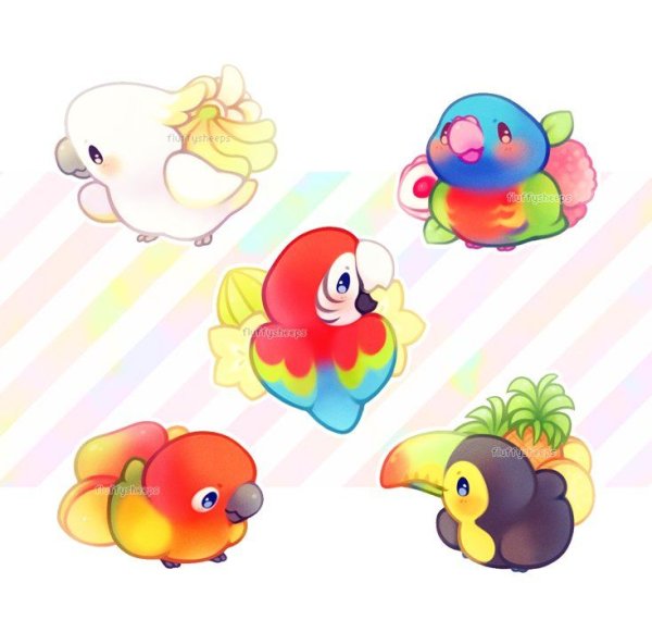 Кавай попугай