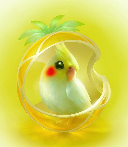 Попугай корелла