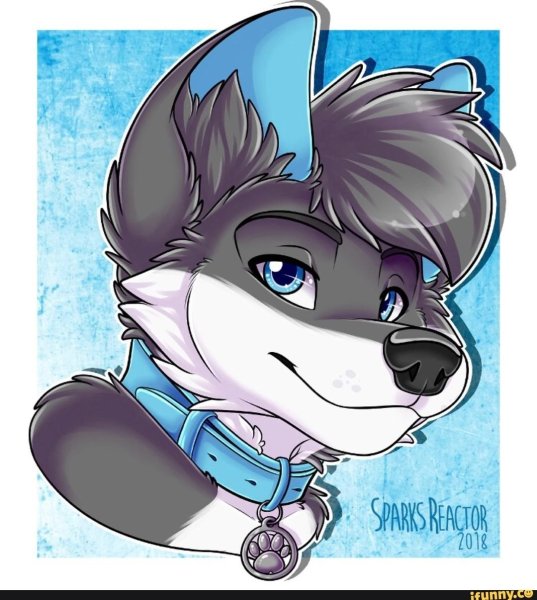 Фурри арты милые