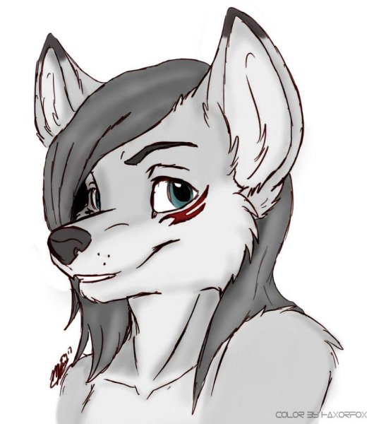 Рисунки фурри