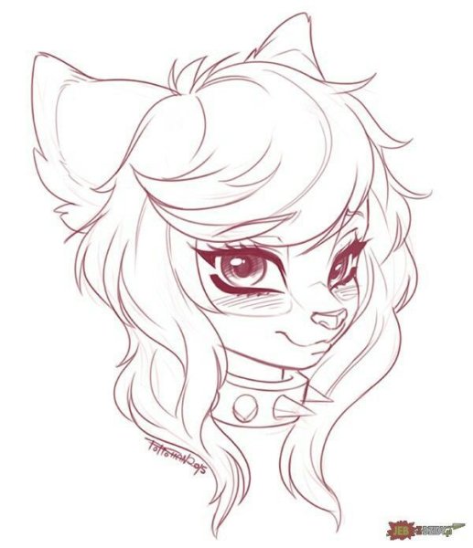 Аниме девочки животные для срисовки