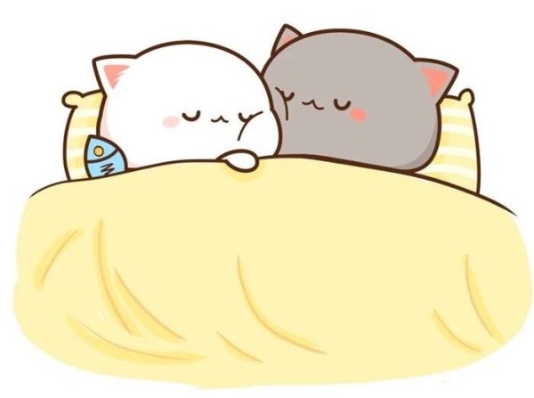 Кавайные котики спят