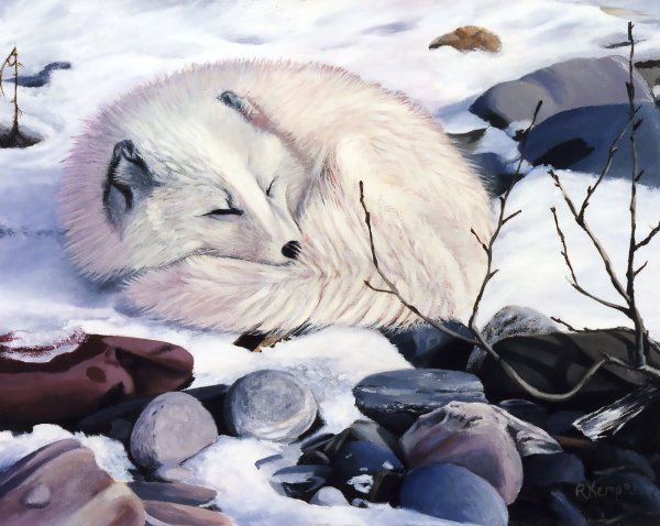Песец живопись