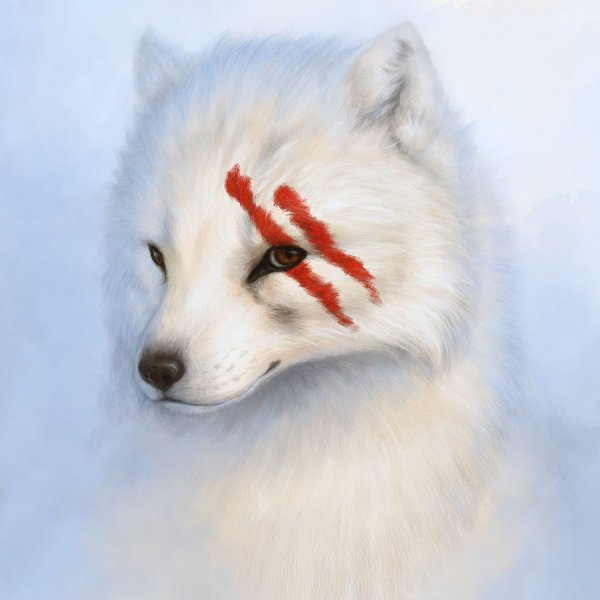 Песец и волк