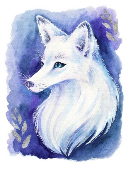 Песец акварель