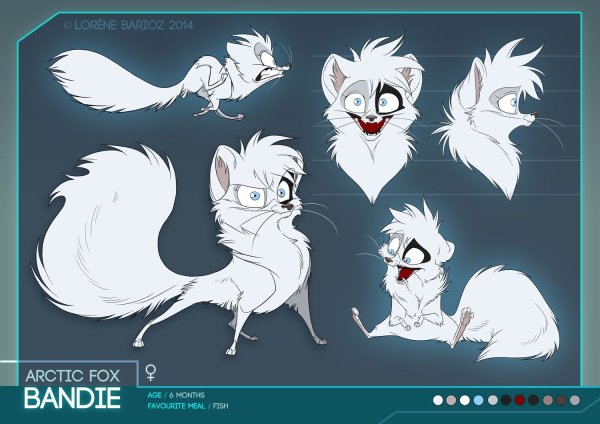 Bandie the Arctic Fox