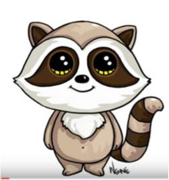 Енот рисунок для срисовки