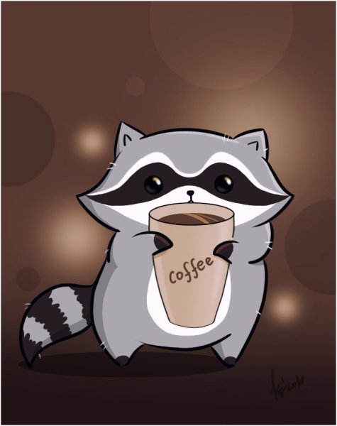 Енот с фотоаппаратом