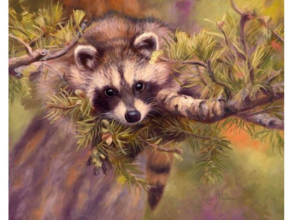 Милые животные черно белые