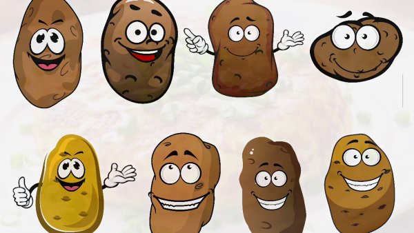 Картофель вектор