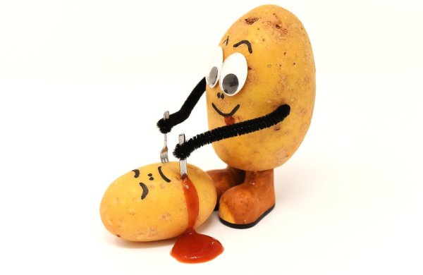 Смешные фрукты