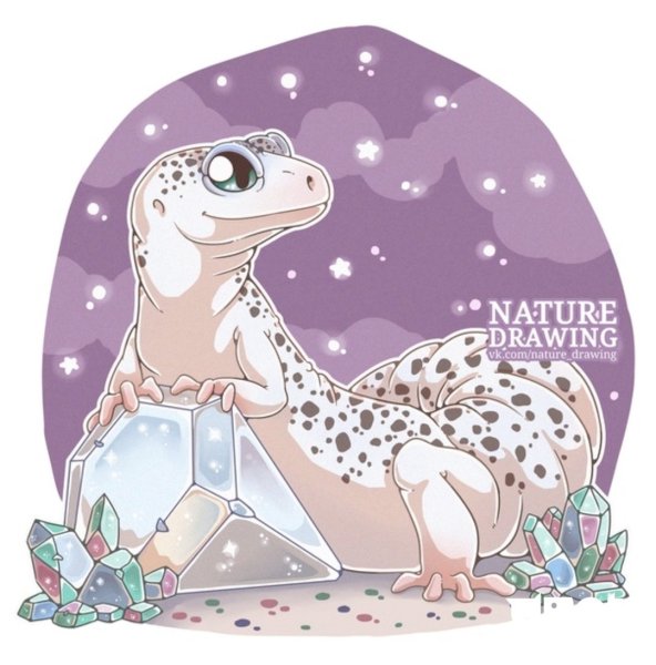 Геккон эублефар хуманизация