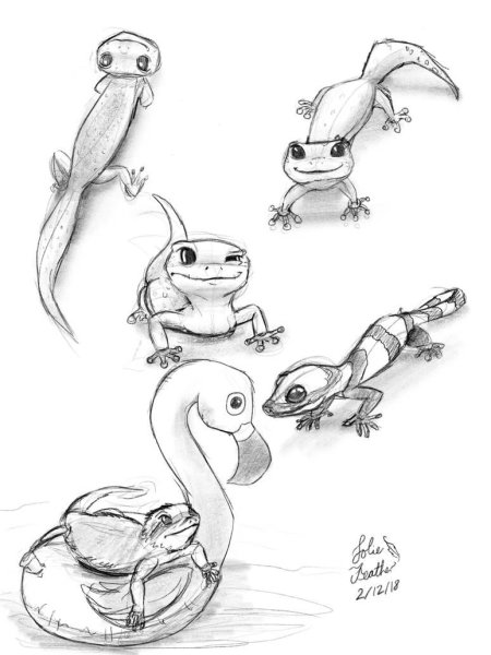 Геккон рисунок для срисовки