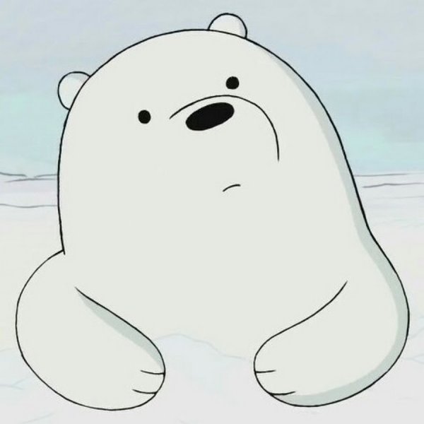 Белый медведь рисунок карандашом