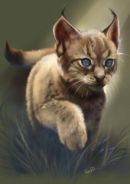 Коты Воители рысёнок