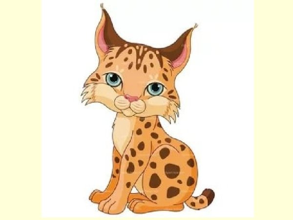 Рысь мультяшный для детей