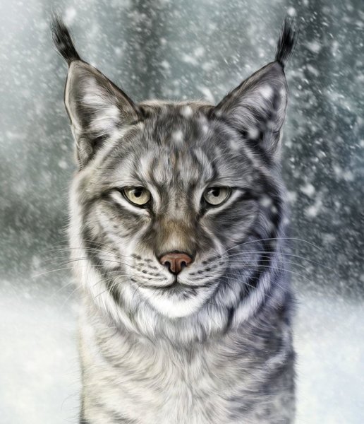 Вышивка рысенок