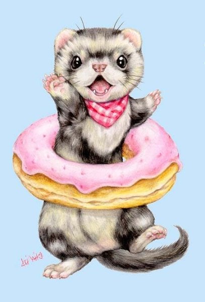 Хорек рисунок