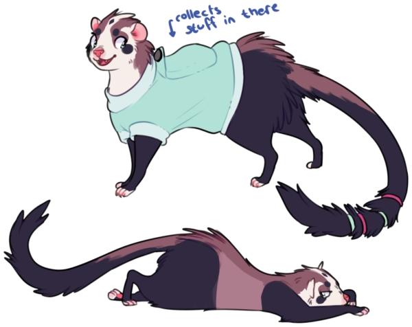 Хорек аниме