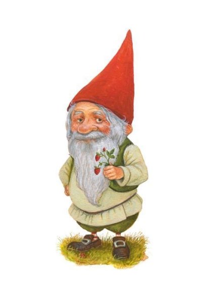 Милый гномик