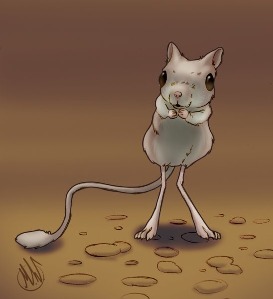 Саблезубый тушканчик