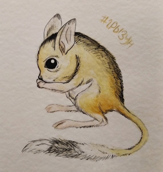 Тушканчик карикатура