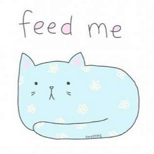 Кот Пушин кот Пушин