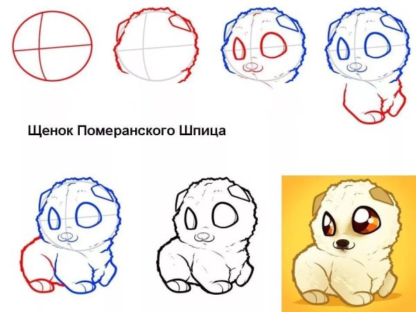 Как рисовать щенка