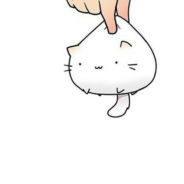 Рисунок котика для срисовки легко