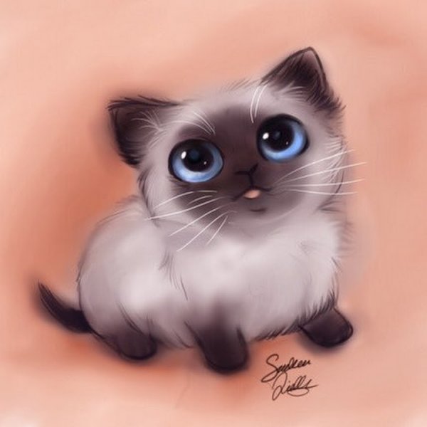 Аниме кошка