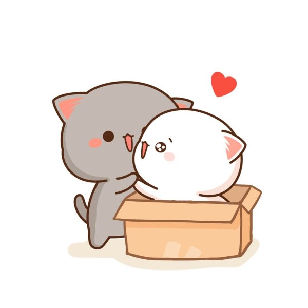 Кавайные котики любовь