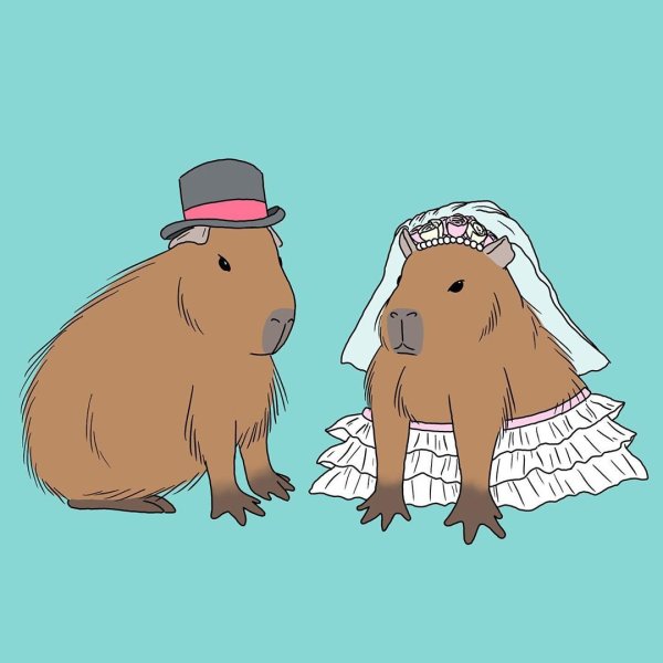 Капибара r34