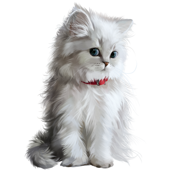 Кот пушистый белый