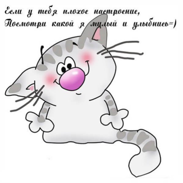 Ты моя половинка авокадо